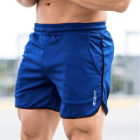 Nuevos Shorts De Correr Para Hombre 2024 Verano Deporte Fitness Rápidos Secado Malla Pantalones De Gimnasio Hombres - details 1