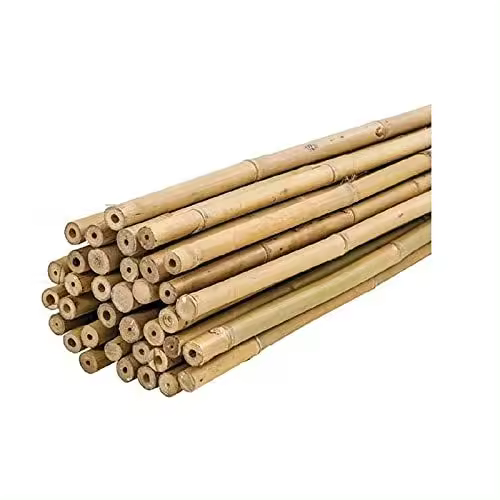 Plantawa Tutores de Bambú 25 Unidades, Tutores de Bambú Ø 6-8 mm, Uso Agrícola para Sujetar Plantas, Hortalizas y Árboles (210cm) - 1