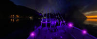 Luz Negra LED UV Para Fiestas Disco Xmas Halloween Luz De Escenario Ultravioleta Eficiente Con Efecto Nuboso Recargable - details 4