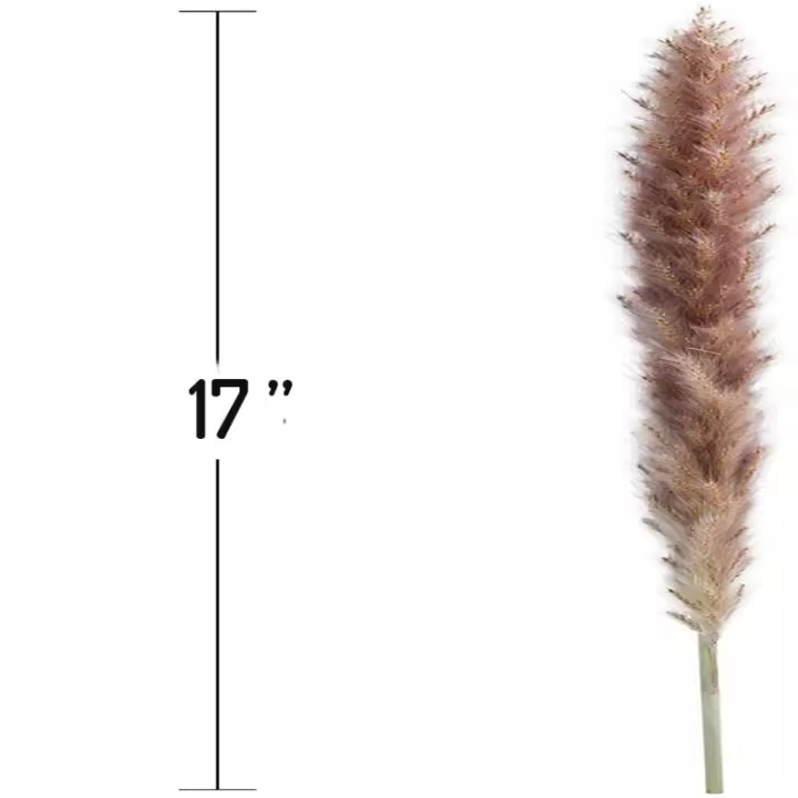 Hierba de Pampa seca - Natural, 30 piezas de penachos de Herba de caña, Branch de Flores Secas para Bodas EN LA Cocina del Hogar - 1