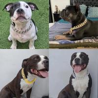 Collar De Plástico Ligero Para Perros Y Gatos Accesorios De Collar Para Mascotas Pequeñas Medianas Y Grandes Collar De Bulldog Personalizado Para Animales De Compañía - details 4
