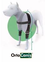 Ortocanis - Ortesis de Codo para Perro - Protección y Sujeción para Problemas Articulares - Tratamiento de Lesiones - details 0