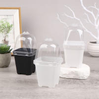 Juego De 5 Macetas Cuadradas Pequeñas Con Domos De Humedad Transparentes Para Plantas En Iniciación Moderno Estilo Plástico - details 0
