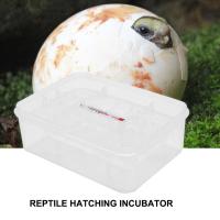 Caja Incubadora Para Huevos De Reptiles Lagartos Y Serpientes Con 16 Compartimentos Plástico Para Cría Y Hatcher - details 4