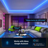 Tira De Luces LED USB Tuya Control WIFI RGB Luz Flexible Alambre De Luces 5V Para TV Decoración De Habitación Compatible Con Alexa - details 1