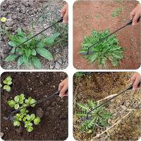 Multifuncional Herramienta De Jardín Duradera Y Portátil Para Plantas De Verduras Y Agricultura - Rastrillo Anteojos De 4 Dientes - details 3