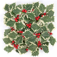 10pcs Berries De Holle Artificiales Con Hojas Para Decoración De Navidad Artesanías De Wreath Para Casa Adornos De Árbol De Navidad Regalo De Año Nuevo - details 11