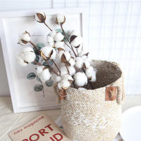 Rama De Flores Secas Blancas Artificial Para Decoración De Bodas Y Fiestas Eucalipto Y Algodón Decoración De Hogar Sin Químicos - details 10