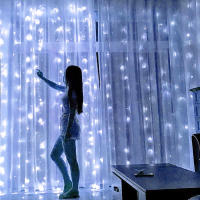 Luces De Encaje LED 6m/3m USB Luz Fina Para Festival Iluminación De Ventana Dormitorio Bodas Navidad Decoración Color Cálido - details 20