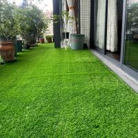 Alfombra De Hierba Artificial Para Exteriores Material PE Ecológico Duradero Antideslizante Para Decoración De Jardín Balcones Y Paisajismo - details 11
