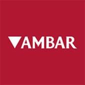 Cerveza Ambar Especial Sin Gluten 33 cl pack 24 botellines - details 0