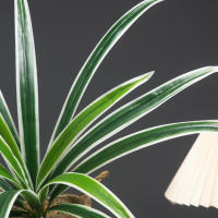 Planta Artificial De Gran Tamaño 60cm Con 18 Hojas De Orchidáceas Para Decoración De Jardín Interior Y Exterior Arbolado Falso Para Hogar Y Exposiciones - details 8