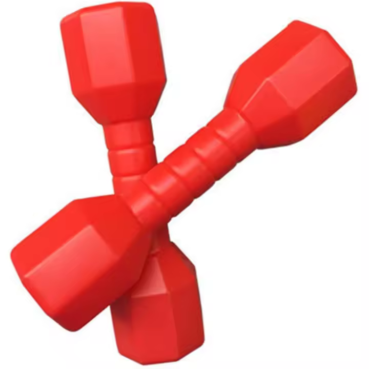 Juego de 2 mancuernas para niños, equipo de fitness para jardín de infantes, regalo divertido, pesas de mano para niños, mancuernas de pilates, barra de ejercicios para gimnasio en casa. - 1