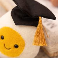 Juguete De Gato Creativo Y Moda Con Sonrisa Feliz Peluche Decoración Para El Hogar Regalos Para Fiestas Suministros Para Mascotas - details 8