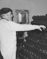 Dioro Baco postre o Semiseco CAVA RIOJANO -  Bodegas Dios Baco - details 2
