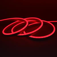 Tira De LED Flexible 12V Neón 2835 120LEDs/M Luz De Cuerda Impermeable Para Exteriores Azul Caliente Rosa Blanco Rojo Amarillo Verde 1M 5M - details 16