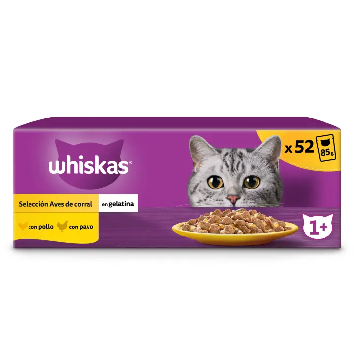 Whiskas Comida Húmeda para Gatos Adultos Selección Aves en Gelatina (13 x 4 x85g) - 1