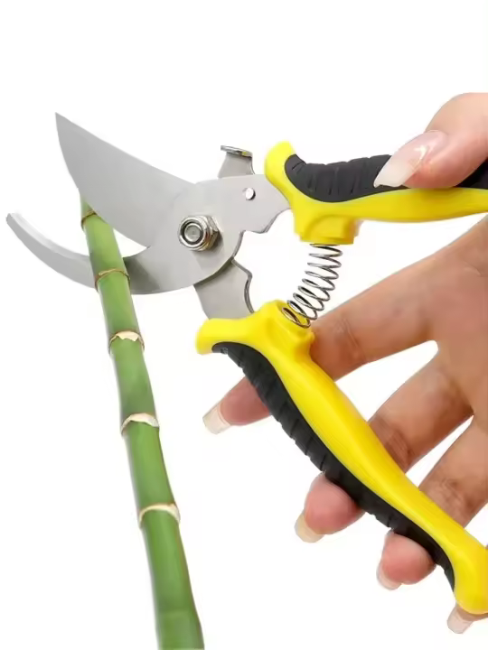 Tijeras De Poda Profesional Para Jardín Podadoras De Broca Afiladas Cortauñas Herramientas Para Arboles Tijeras De Mano - 1
