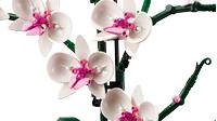 ORQUÍDEAS - LEGO 10311 - details 0
