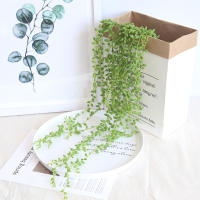 1PC Cadena De Perlas Artificial De Suculentas Colgantes Para Bodas Y Decoración De Hogar Para Sala De Estar Y Dormitorio - details 7