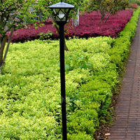 Lámpara Solar De Calle Decorativa Para Jardín Puerta Delantera Y Trasera Lámpara De Piso Solar Con Luz LED Fuente De Energía Solar Protección IP44 Material ABS Estilo Contemporáneo - details 4