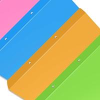 CARPETA PP 4 ANILLAS 25MM COLORES NEON BISMARK - COLOR A ELEGIR - details 2