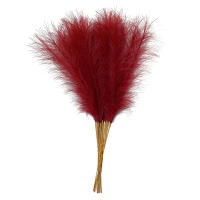 10PCS Pampas Artificial 55CM Decoración Bohemia Para Fiesta De Boda Casa Y Jardín Flores Silvestres Sintéticas Para Decoración Interior - details 13