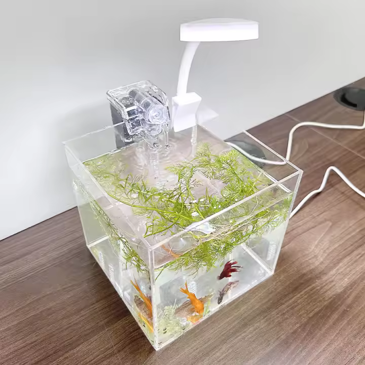 Acuario Ecológico De Acrílico Transparente Para Escritorio De Oficina Pequeño Tanque De Agua Con Hierba Para Camarones Y Tortugas - 1