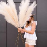 Pampas Artificial De 90/120 Cm Flores Decorativas Para Hogar Fiesta De Boda Arreglo Floral Decoración De Mesa Reed Grass Fluffy - details 0