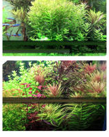 Sistema De Difusor CO2 Qanvee Atomizador De Agua Para Plantas Acuario Tanque De Peces Kit De R�teros Y Tortugas Accesorios Akvarium Sprayer Cilindro - details 12