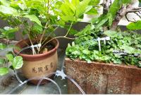 Kit De Riego Por Drip Para Jardín Con Válvula Reguladora Dispositivo De Riego Para Plantas En Macetas Ahorro De Agua Micro Riepilogo Para Invernadero - details 0