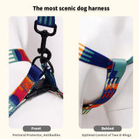 Juego De 3 Piezas Abstracto Y Correa Para Mascotas Con Patrón Geométrico Multicolor Correa Y Collar Para Perros De Nylon - details 3