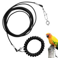 Correa De Entrenamiento Para Pájaros Parrot Con Cadena Antipatada Tamaño 6 Pies Material Resistente Para Exteriores Suministros Para Pájaros - details 6