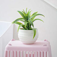 Mini Planta De Simulación Aloe Artificial Bonsái Para Decoración De Escritorio En Oficina Y Hogar Ornamento De Plantas Artificiales - details 2