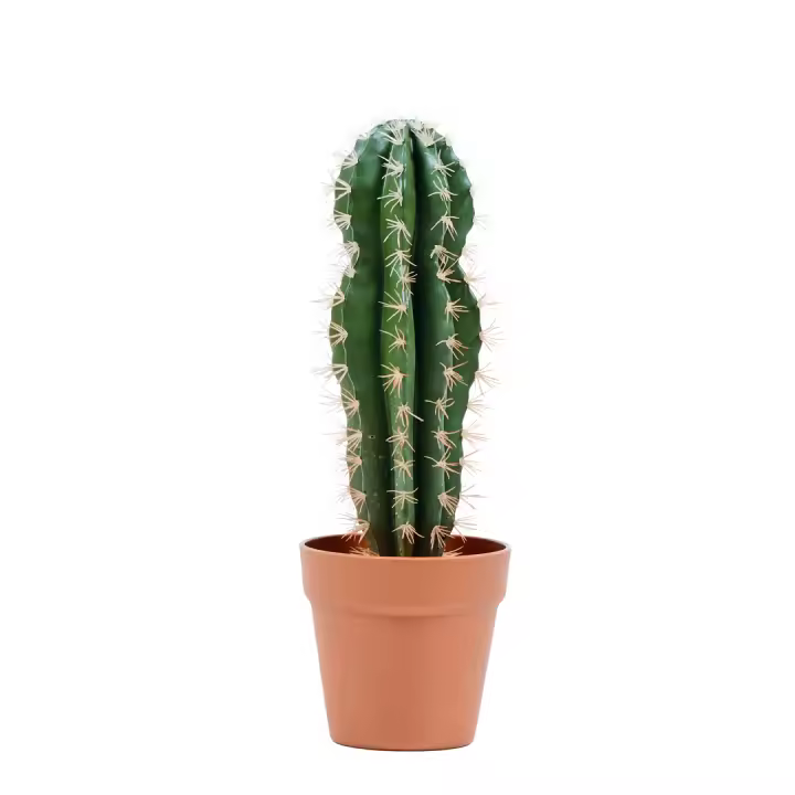 Nortene | Planta Artificial Cactus Stetsonia Coryne 43 Cm Nortene | Ideal Para Decoración | Planta Artificial Grande Y Realista | Aporta Un Toque Natural A Tu Hogar - 1