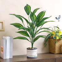 1PC Plantas Artificiales Verdes Simuladas Para Decoración De Oficina Y Hogar Estilo Selva Material Plástico Sin Botellas Incluidas - details 4