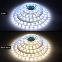 Tira De LED Sensor De Movimiento 1M-5M Luz Nocturna Impermeable Para Armario Cama Cocina Escaleras 12V Sensor De Luz Nocturna Para Dormitorio - details 8