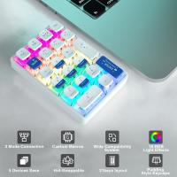 TECLADO MECÁNICO LEOBOG K21 Con 21 Teclas Bluetooth Transparente Teclado Numérico Para Photoshop Contabilidad Juego Mini Keyboard UK - details 1