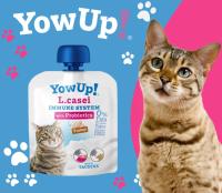 YOWUP! Yogurt L.Casei Probióticos Gato Pavo 85g X 10 Unds - details 1