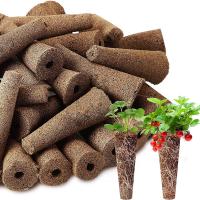50Pcs Esponjas De Crecimiento De Semillas Reemplazables Plugs De Iniciación De Semillas Sistemas De Cultivo En Agua Jardín De Plantas - details 1