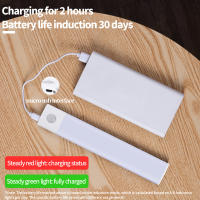 Lámpara LED Recargable USB Con Sensor De Movimiento Tres Colores En Uno Para Armario De Cocina Iluminación Interior 10/20/30/40/50cm - details 4