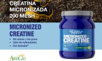 Micronized Creatine 300gr Mojito - Weider - details 0