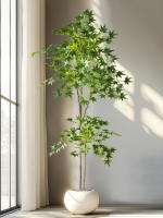 Árbol De Maple Artificial 70-140cm Hojas De Cola De Pollo De Seda Planta Japonesa Falsa Para Decoración De Jardín Y Habitaciones - details 2