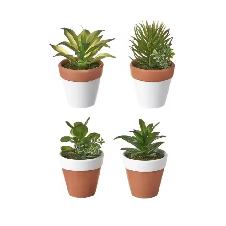 Dcasa Set de 4 plantas artificiales cactus de plástico con macetas de terracota de Ø 9x14 cm - 1