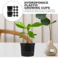 10pcs Copas De Red Para Jardín Cesta De Red Para Plantas De Orquídeas Hidroponía Aquaponia Cultivo Orgánico Red Con Orificios - details 7