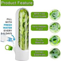 Caja De Almacenamiento Para Hierbas Frescas Como Coriandros Peras Espárragos Menta Mantener Verduras Frescas Durante 2-3 Semanas Plástico Resistente - details 5