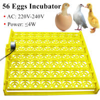 Incubador De Huevos Automático 56 Posiciones Para Pollos Pato Pato Y Aves Herramienta De Incubación Para Granjas Y Cría De Pájaros - details 0