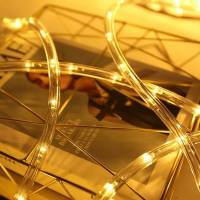 LED String Lights-30M-Blanco Cálido Interior/Exterior-IP44-String Light Garland - details 3