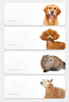Cortador De Pelo Eléctrico Profesional Para Perros Grandes Y Ovejas Recargable Máquina De Corte Para Animales Ideal Para Gatos Y Ovejas - details 2