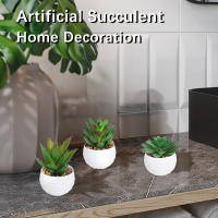 XIYA FLOWER Suculentas De Aloe Vera Artificiales En Estilo Moderno Con Maceta De Plástico Blanco Para Decoración Del Hogar Material PE - details 7